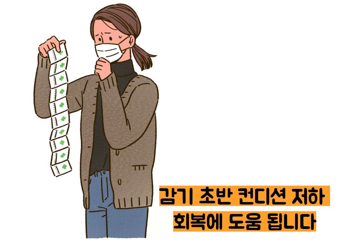 갈근탕 효능