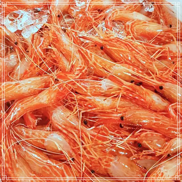 경북 포항 맛집 전국 택배 주문 제철 해산물