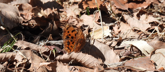 한사란 탐방로 예약하는 이유