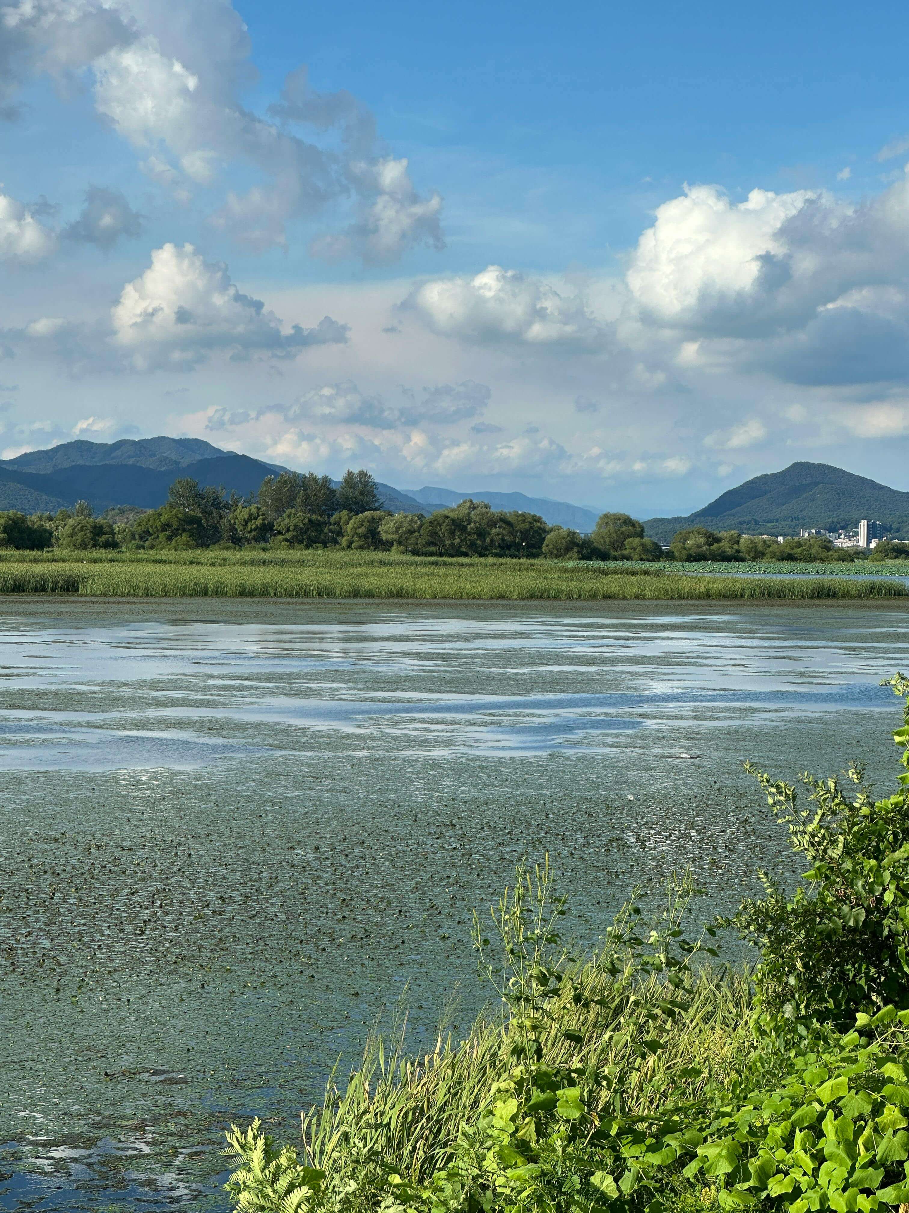 계절 변화 호르몬 변화가 건강에 미치는 영향 완벽 분석
