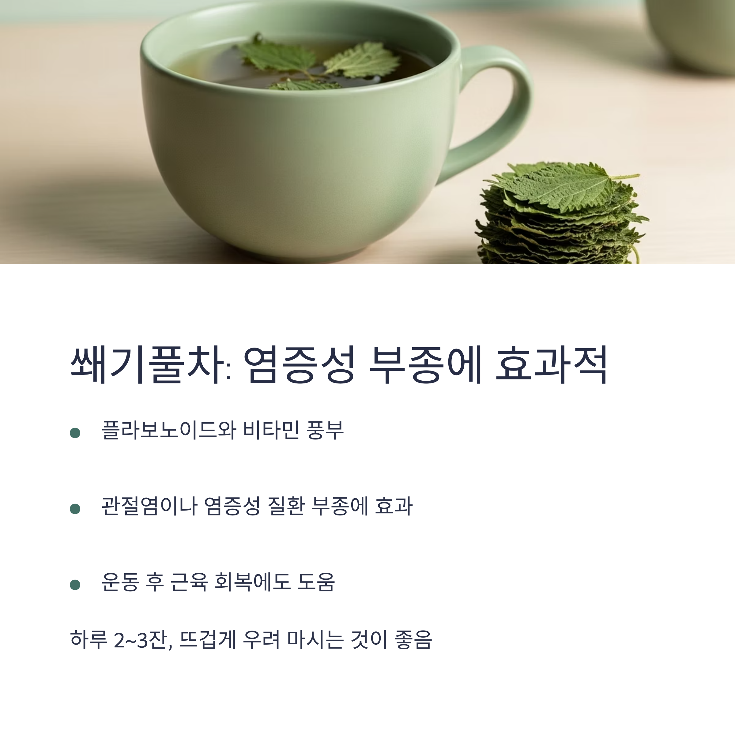 쐐기풀차