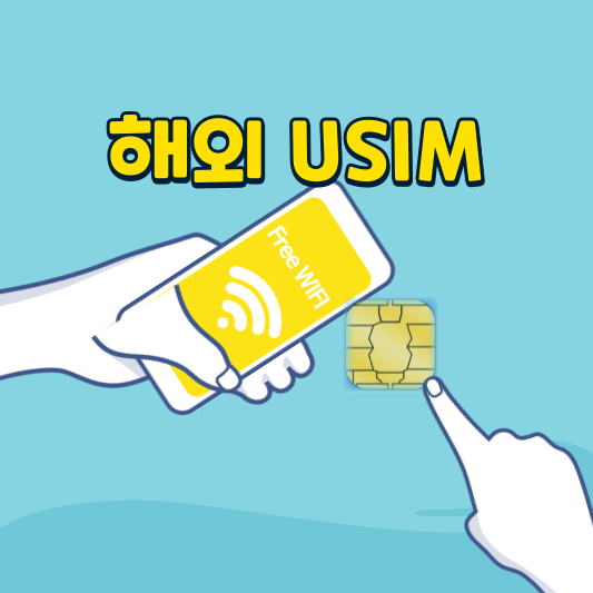 해외 유심