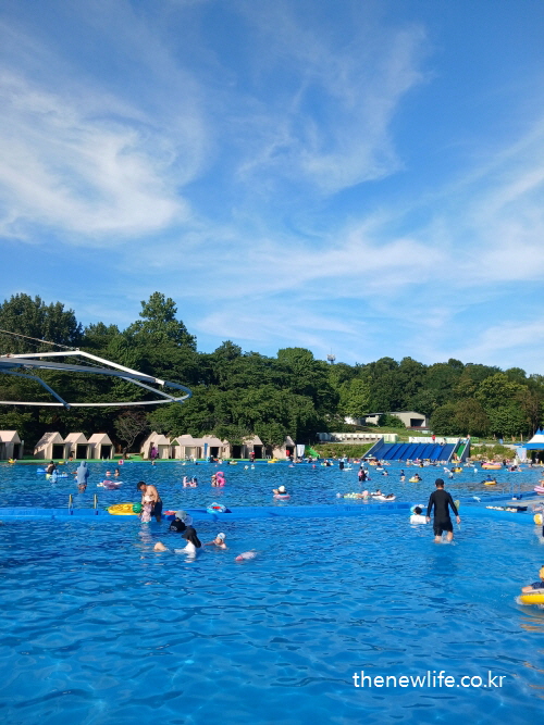 A large outdoor swimming pool filled with kids and families on a sunny summer day./여름 햇살 아래 가족과 아이들로 붐비는 서울 어린이 대공원 대형 야외 수영장.