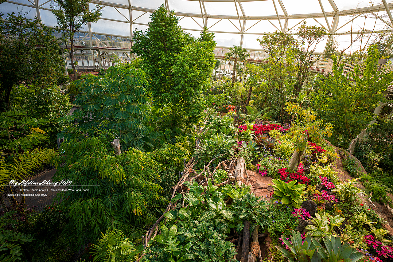 순천만국가정원 식물원
