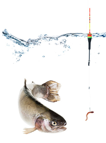 2025 평창송어축제