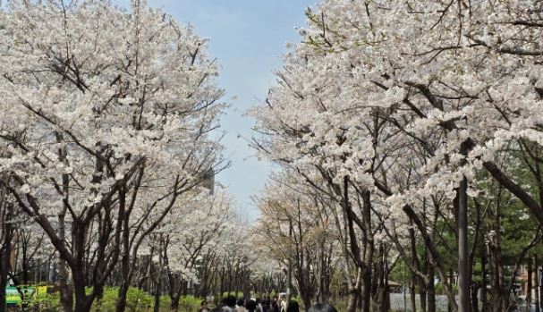 마포구 재난재해 예비비 줄여 대통령 흉상 세우나