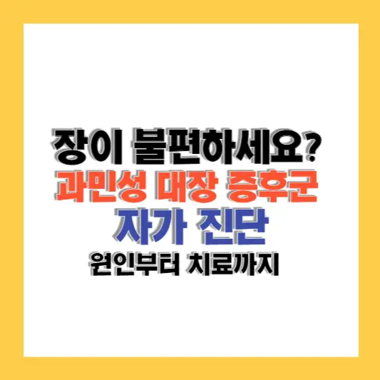 과민성 대장 증후군: 원인,진단,치료 및 자가 진단 체크리스트