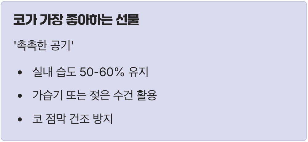 1. 코가 가장 좋아하는 선물, '촉촉한 공기'