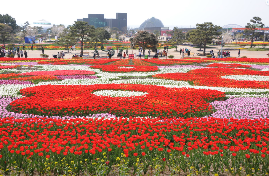 코리아플라워파크 정보 안내