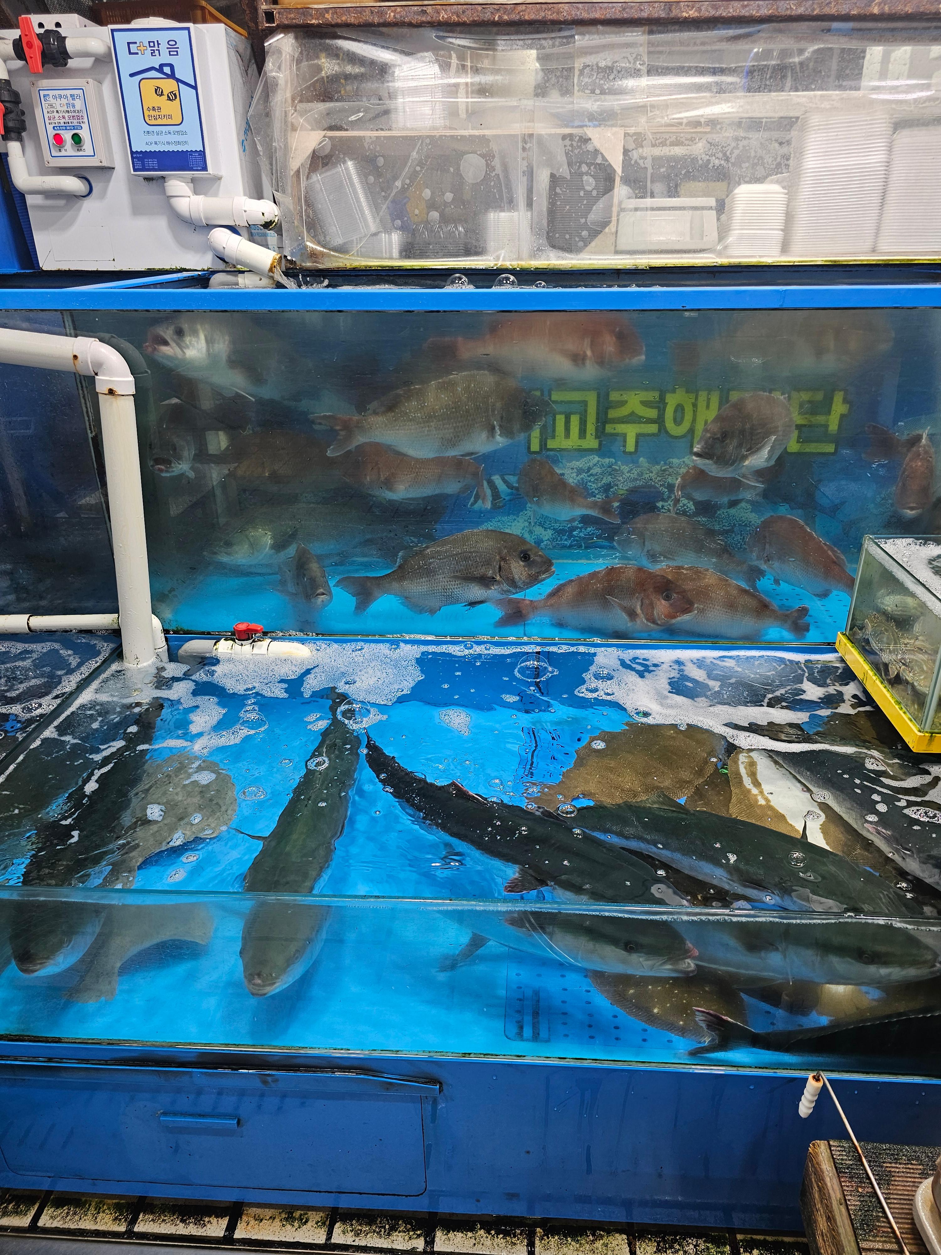 행복수산 외부 3