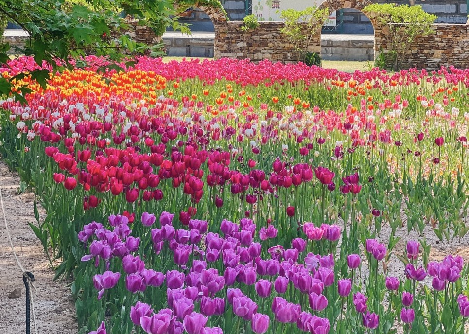 파주벽초지수목원-사진