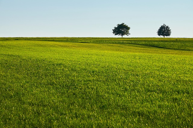 민생회복지원금25만원지급시기