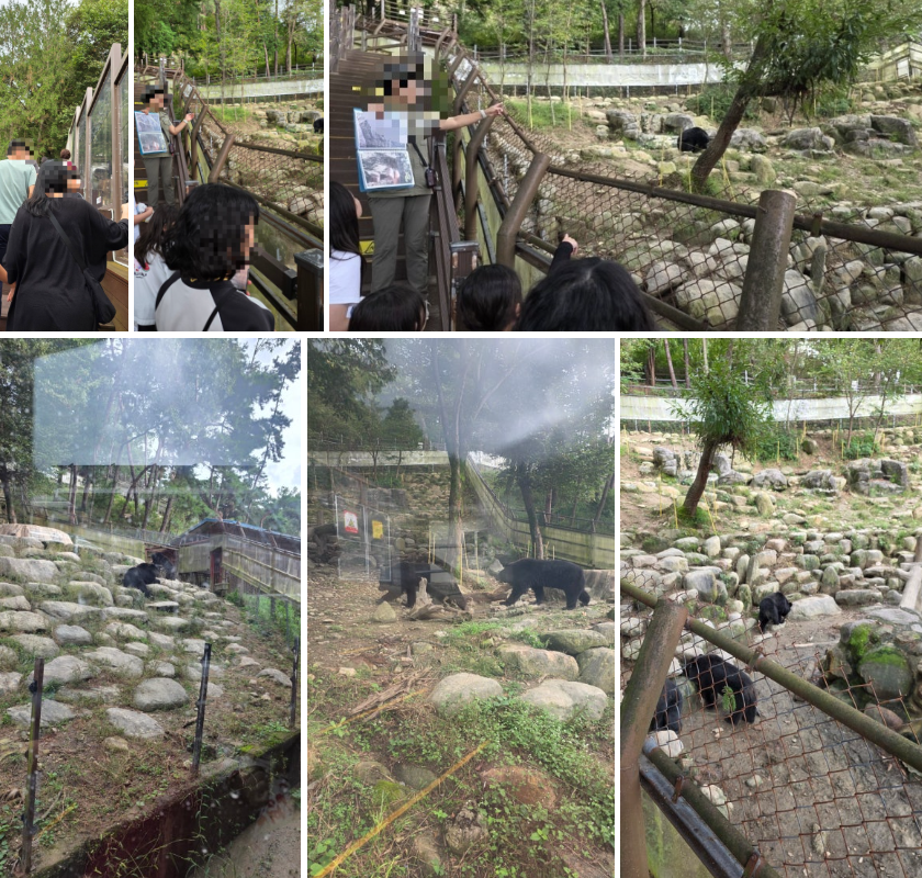 국립공원야생생물보전원 남부보전센터 반달가슴곰 탐방 후기 (우리의 친구 반달가슴곰을 만나요)