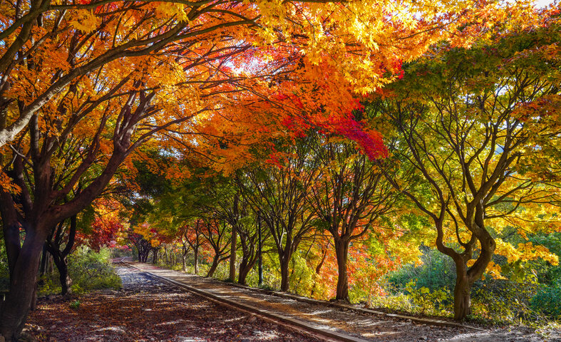 광주 여행지 추천