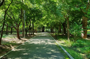 도심속휴식공원