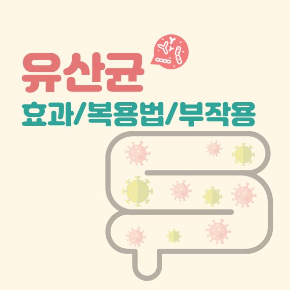 유산균 효과/복용법/부작용 썸네일