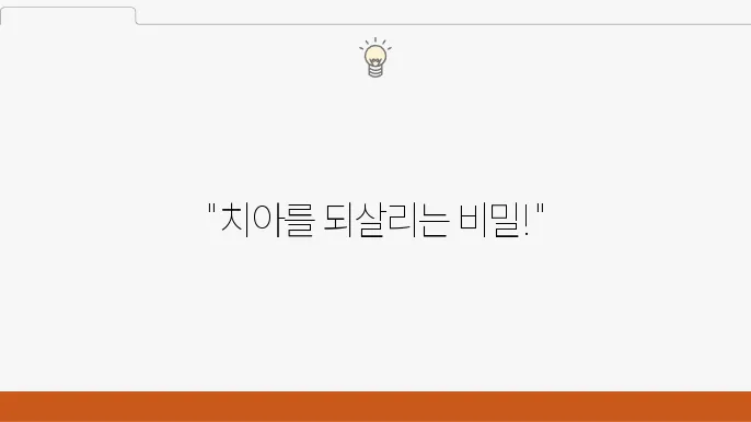 발치 후 임플란트, 포기할 필요 없는 치아 치료