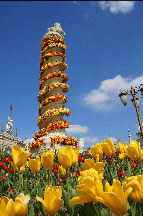 에버랜드 튤립 축제