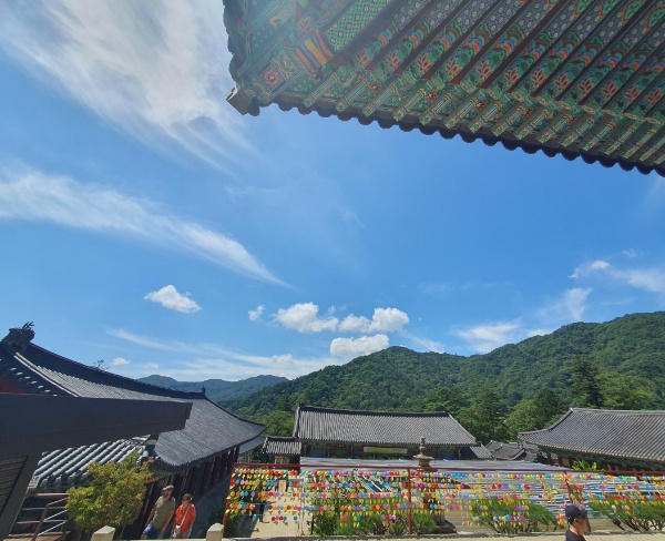 대적광전에서 바라보는 풍경