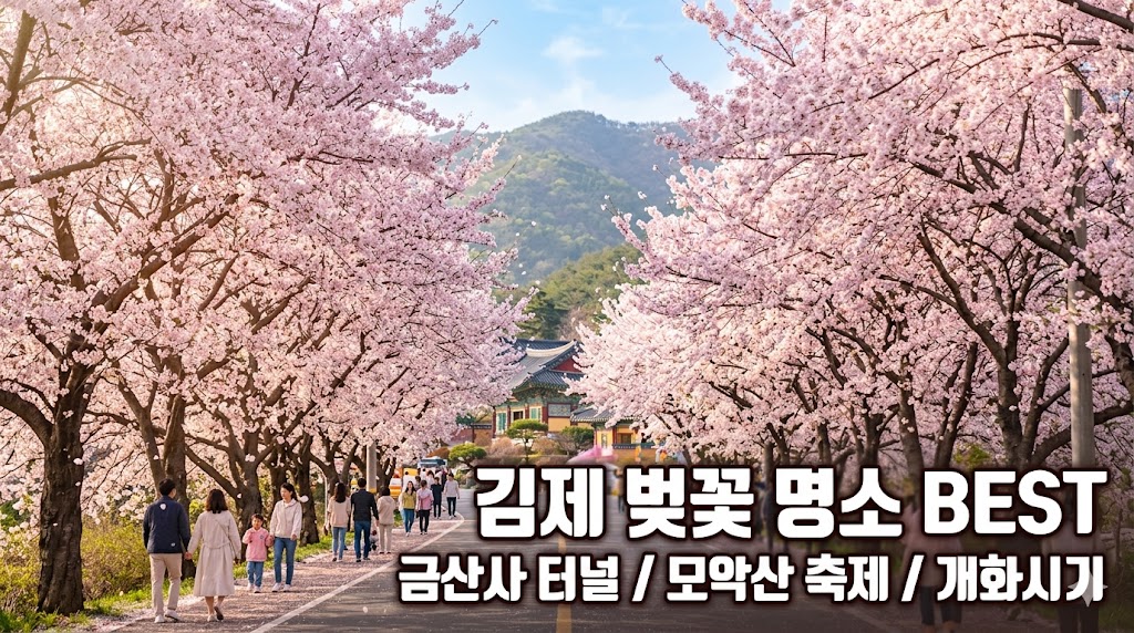 김제 벚꽃 명소