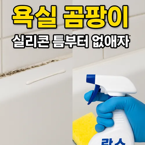 욕실 실리콘 곰팡이 전후 비교