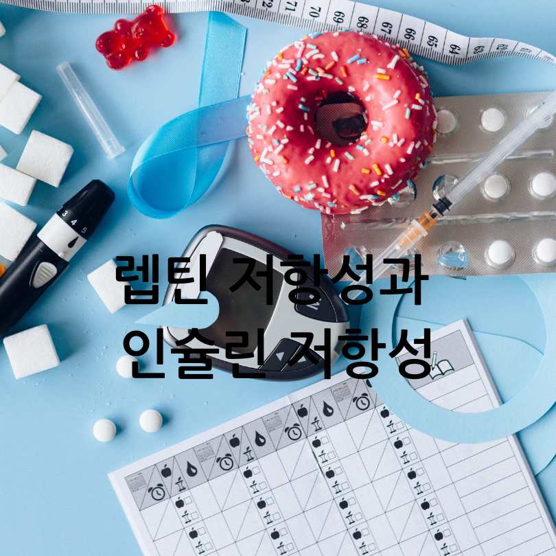 렙틴 저항성과 인슐린 저항성 차이점