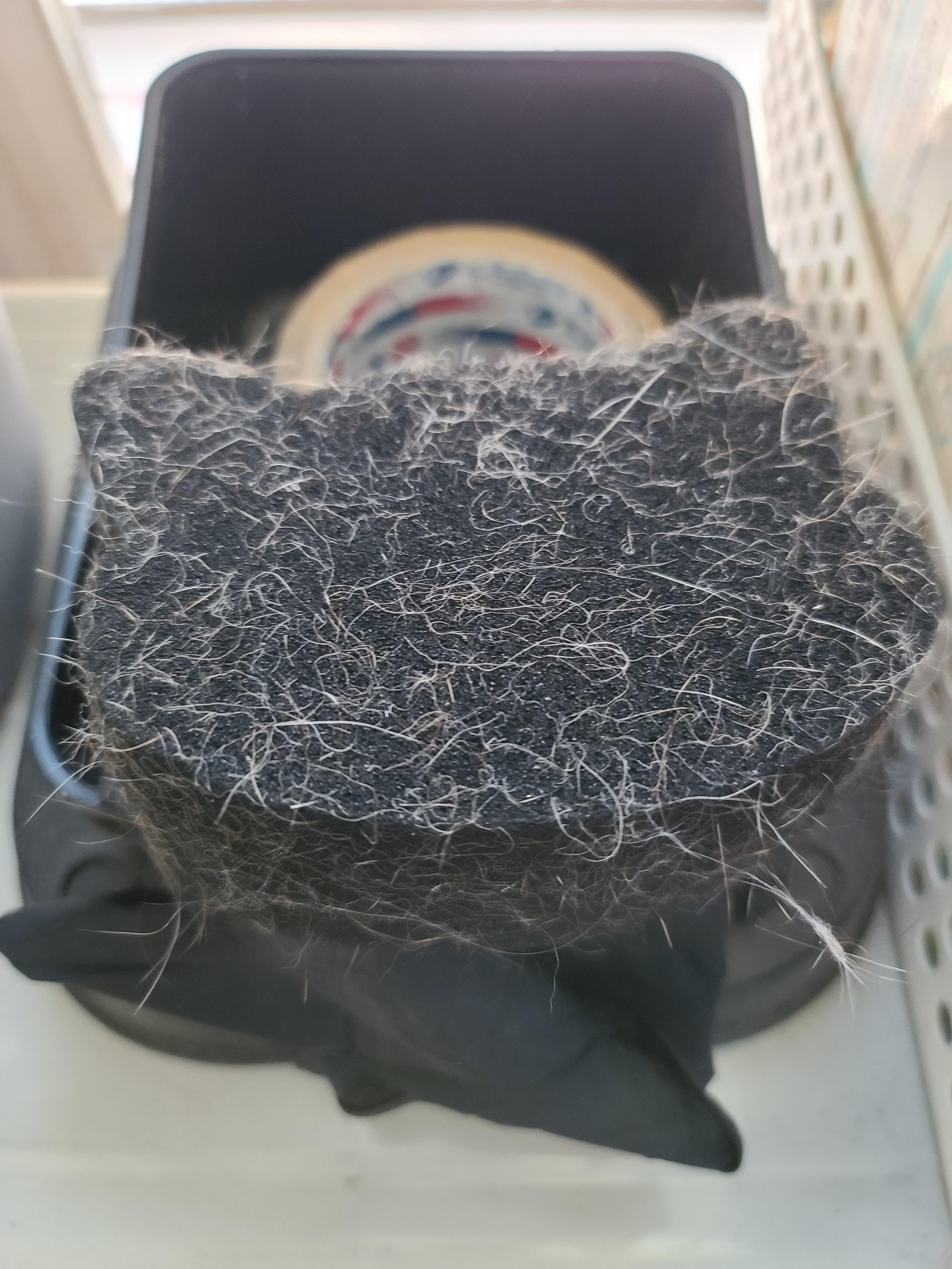 깔끔뭉치 내돈내산 리뷰