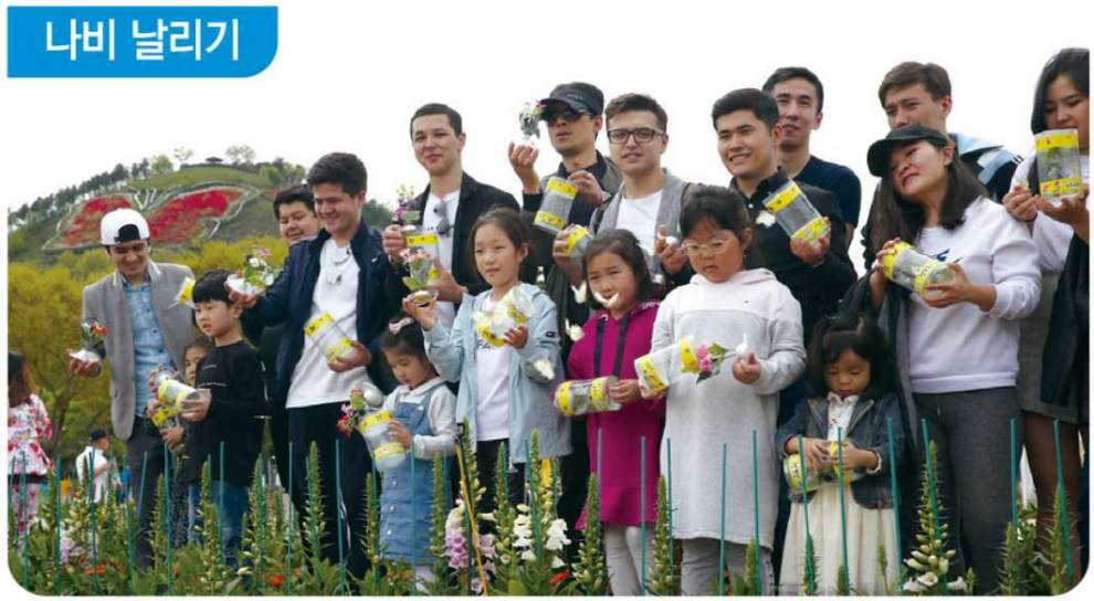 함평나비대축제