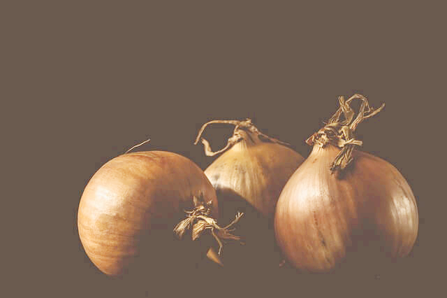 양파 보관법과 효능