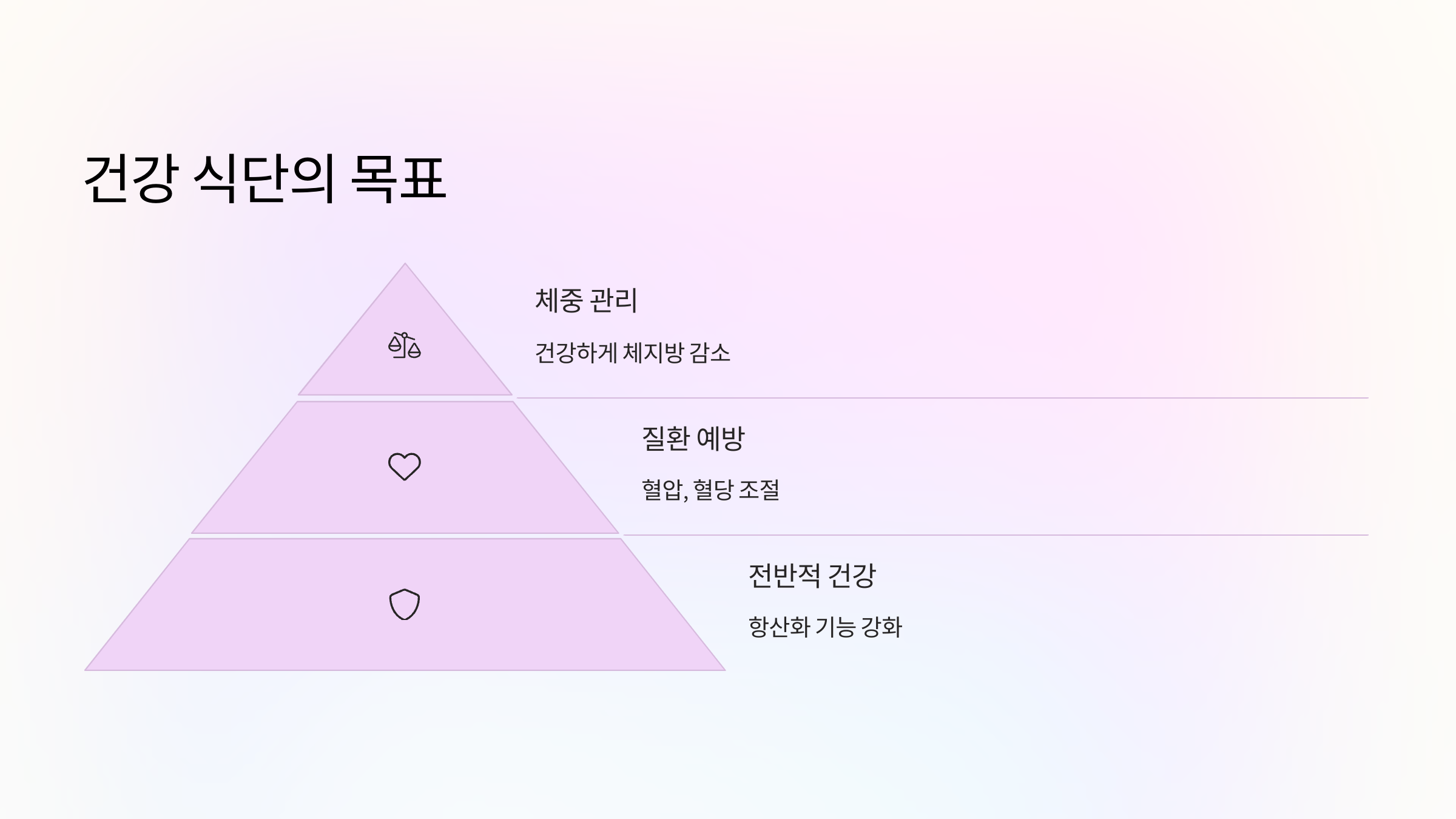 🍽️ 중장년을 위한 식단의 중요성