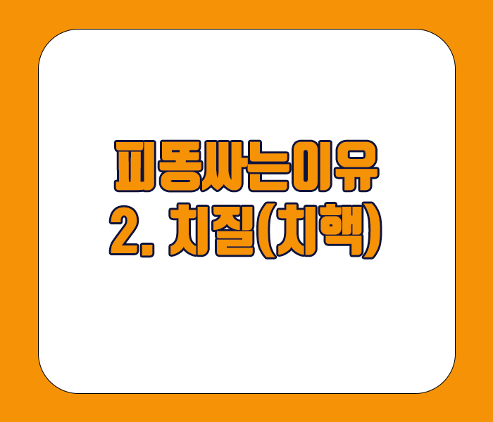 피똥싸는 이유 - 치질, 치핵
