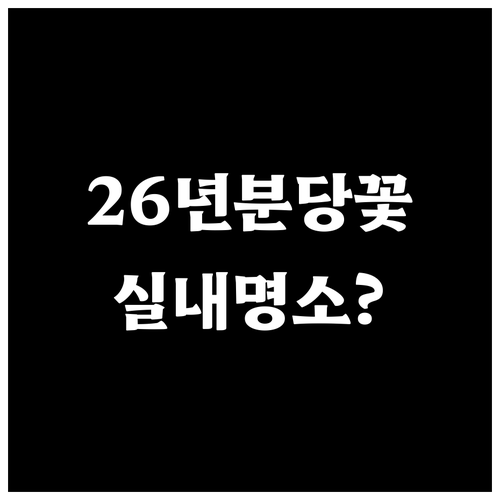 2026년 분당 벚꽃 나들이 체크리스..