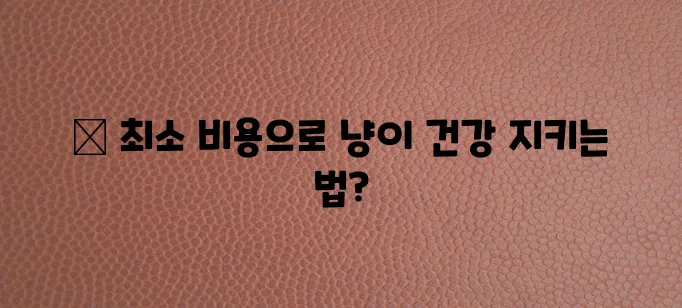 고양이 수컷 중성화 비용, 예산 짜서 건강 관리까지 확실하게!