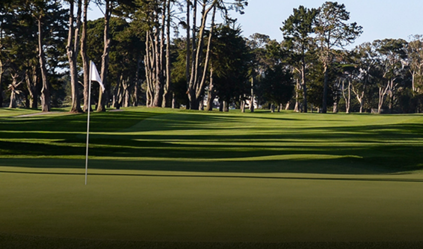 TPC-하딩-파크(TPC-Harding-Park)