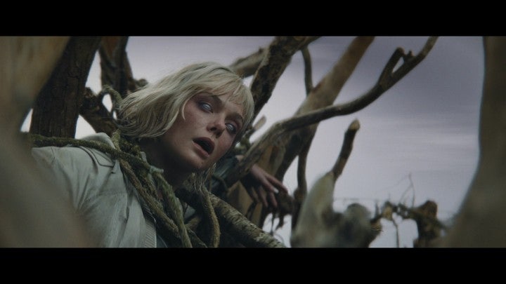 프레테터 죽음의땅 시리즈 뜻 p3 쿠키