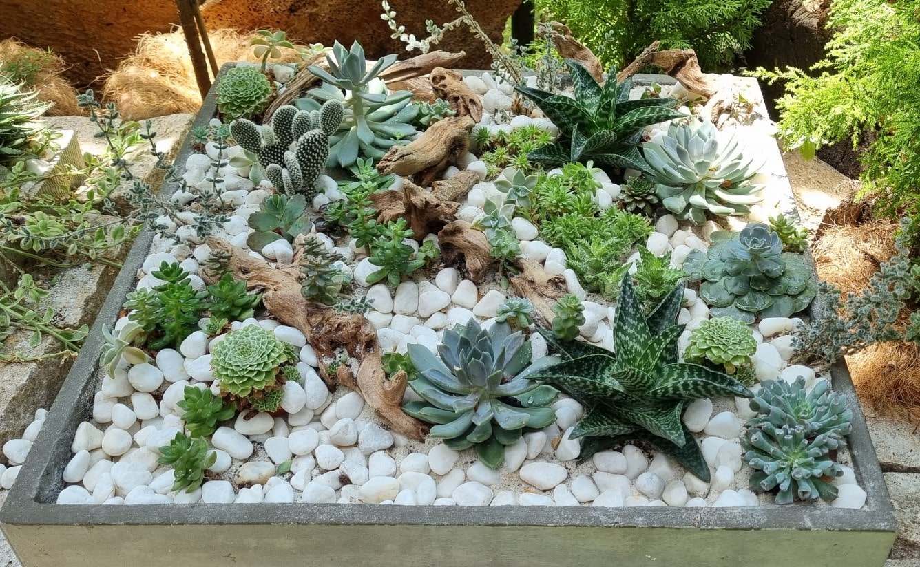 가든스 바이 더 베이 플로러 판타지