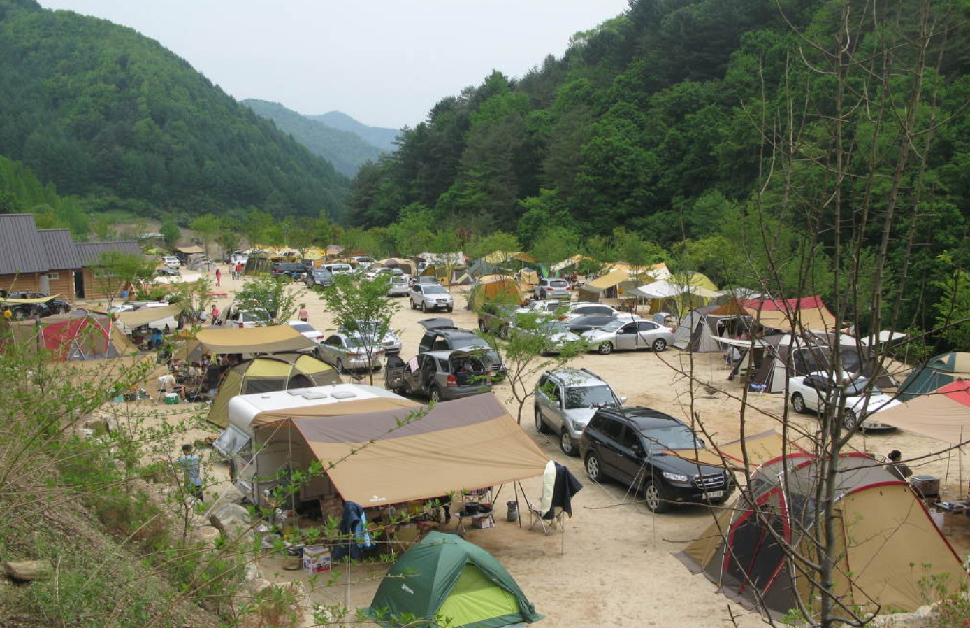 인제자작나무숲캠핑장