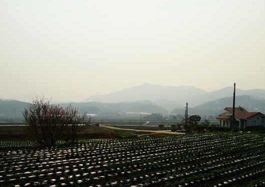 청양 가볼만한곳 베스트10