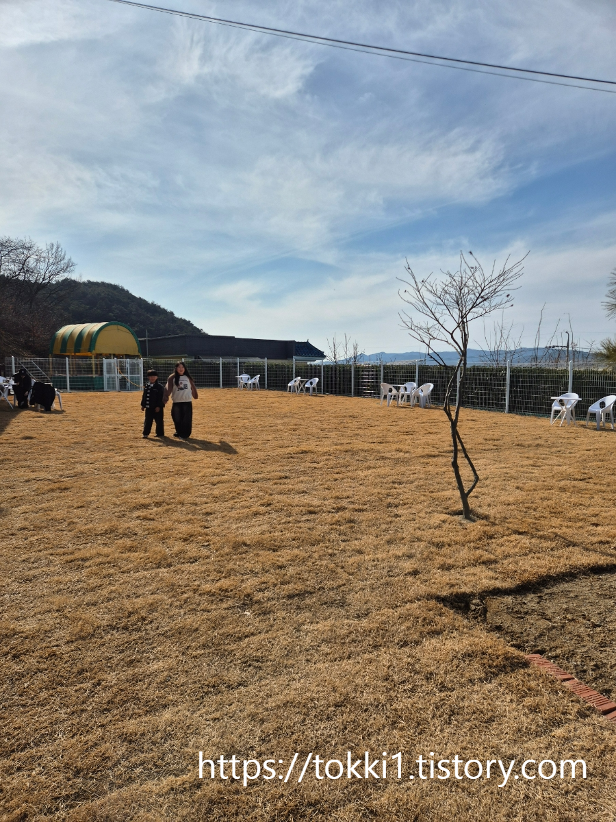 구미 산동 애견카페 또독하우스 넓은 잔디 운동장이 있는 신상 반려견 카페
