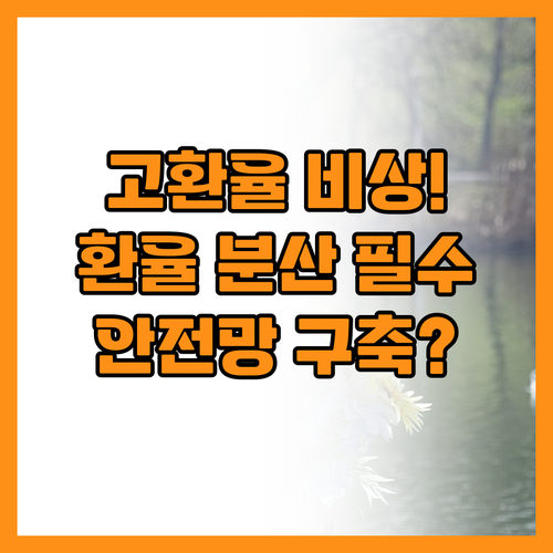 고환율 충격 방어 통화 분산, 투기가..