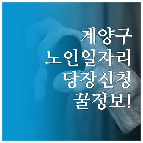 인천 계양구 노인 복지 일자리 상담 ..