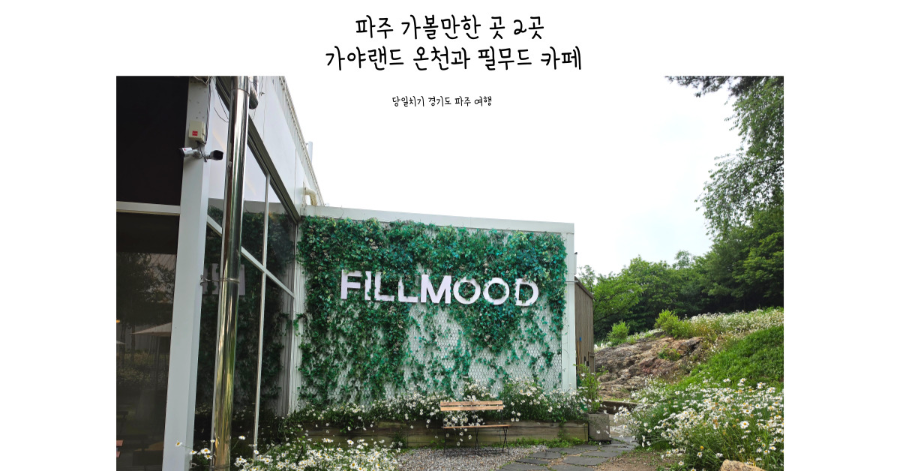 파주 가볼만한 곳 2곳, 가야랜드 온천과 필무드 카페 꽃구경 여행