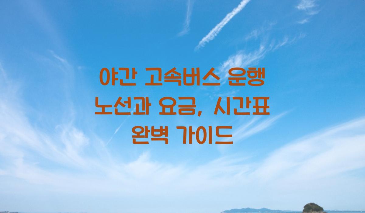 야간 고속버스 운행 노선
