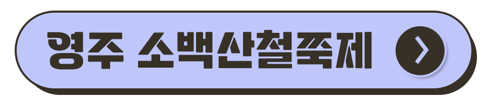 경북 축제