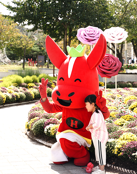 2025 진안홍삼축제 완벽 가이드