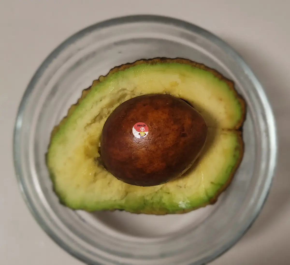 바로먹는-후숙-아보카도-씨를-품은-남은-반쪽-용기에-담아-보관