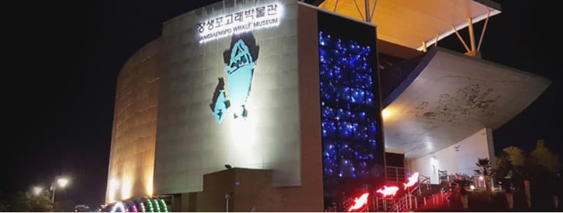 울산 장생포 고래박물관