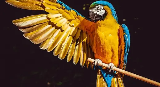 아빠 육아휴직 장려금 신청 방법