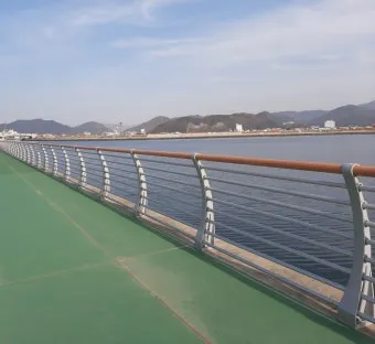 마산 해안도로 5월의 꽃 다정큼나무 산딸나무 해당화_6