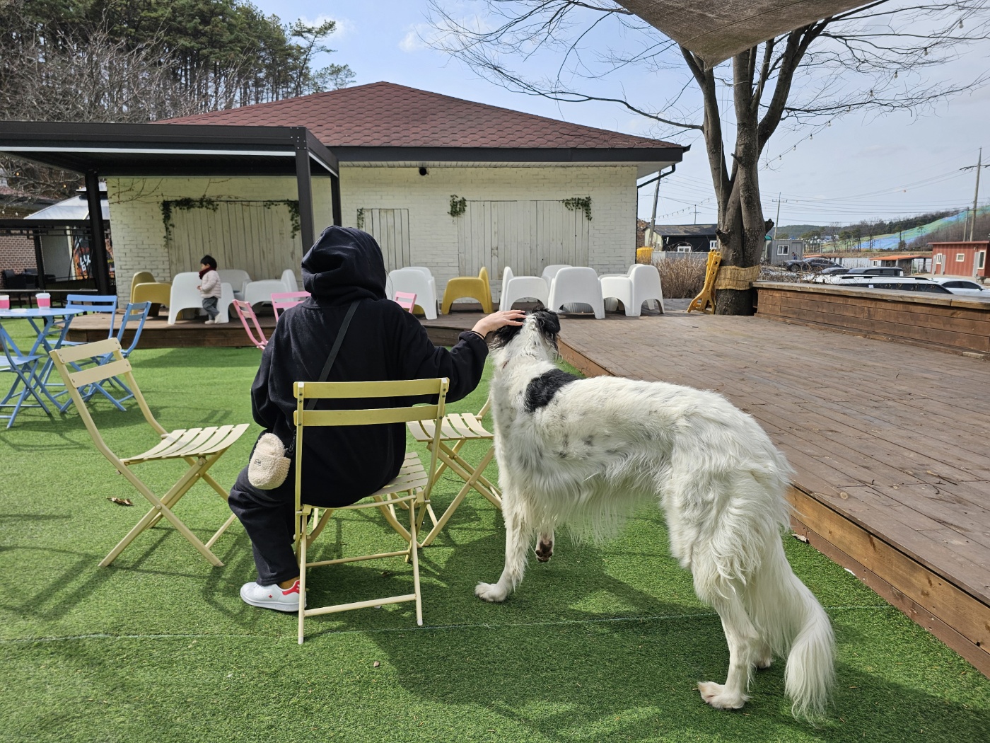 먹고나서 - 다시 뒤뜰